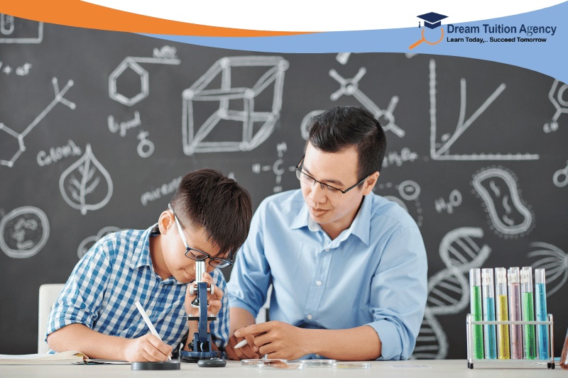 Home tutoring services in Kanpur